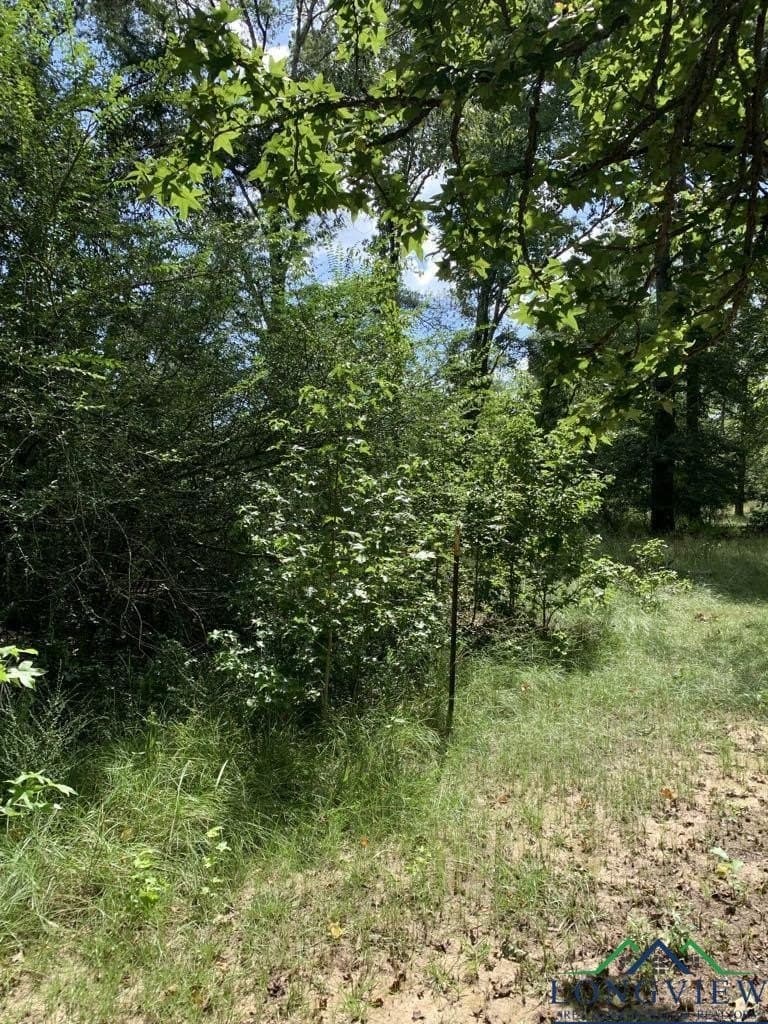5.31 acres in Harrison County - photo 2