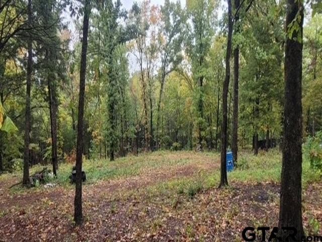 7.09 acres in Cherokee County - photo 2
