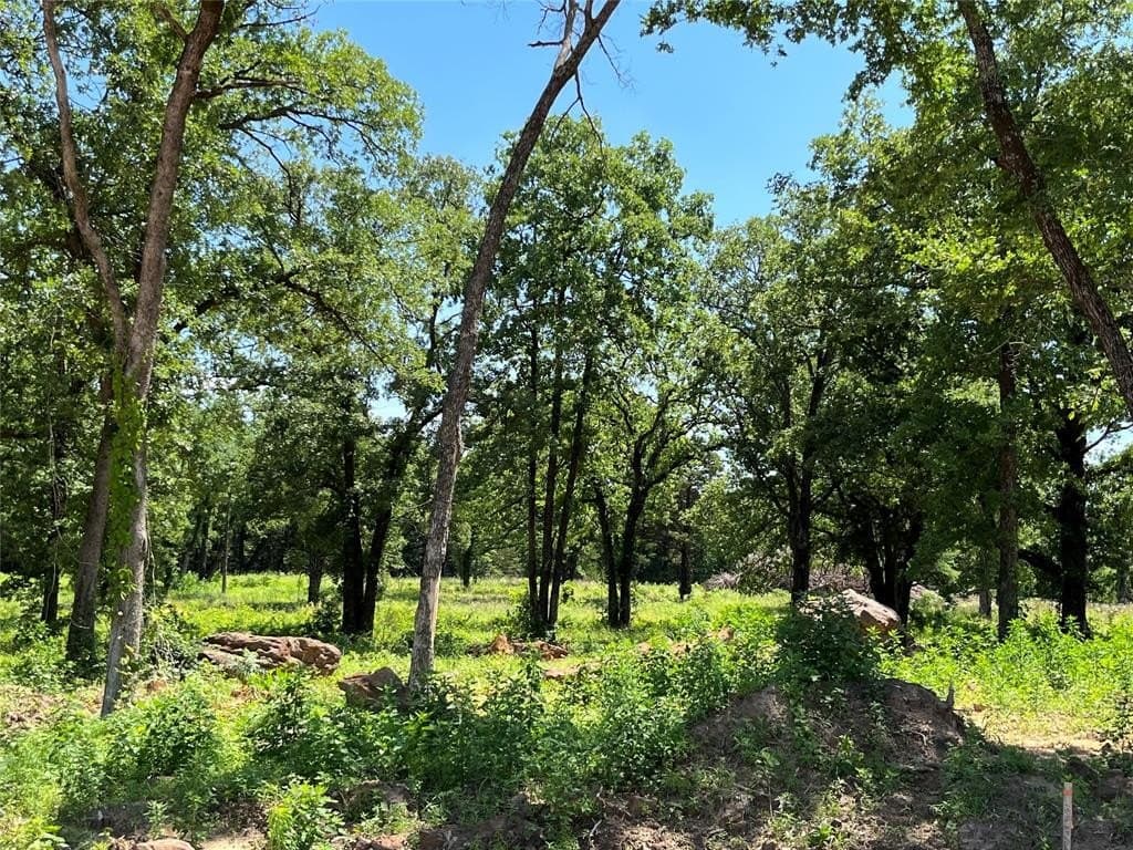 4 acres in Cooke County - photo 5