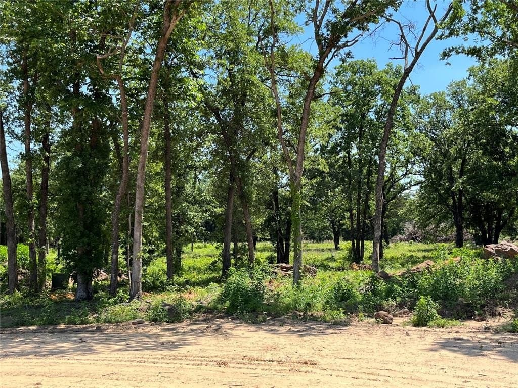4 acres in Cooke County - photo 3