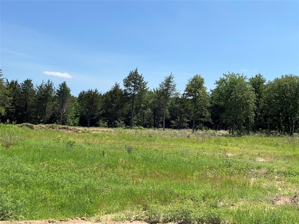 4 acres in Cooke County - photo 4