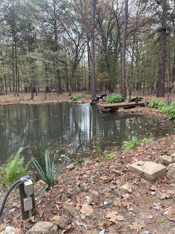 19.29 acres in Wood County - photo 3