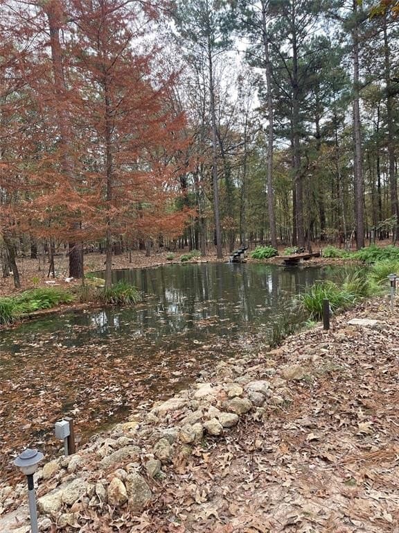 19.29 acres in Wood County - photo 5