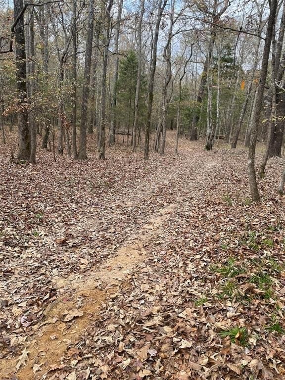 19.29 acres in Wood County - photo 2