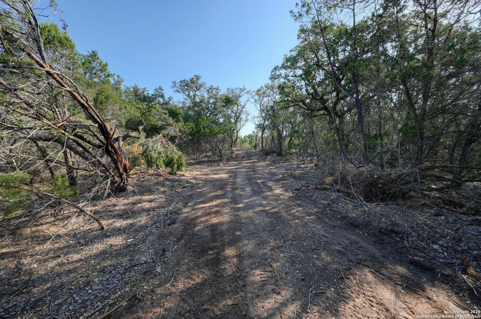 11.99 acres in Blanco County - photo 8