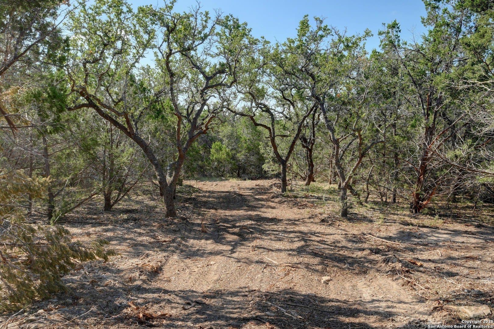 11.99 acres in Blanco County - photo 6