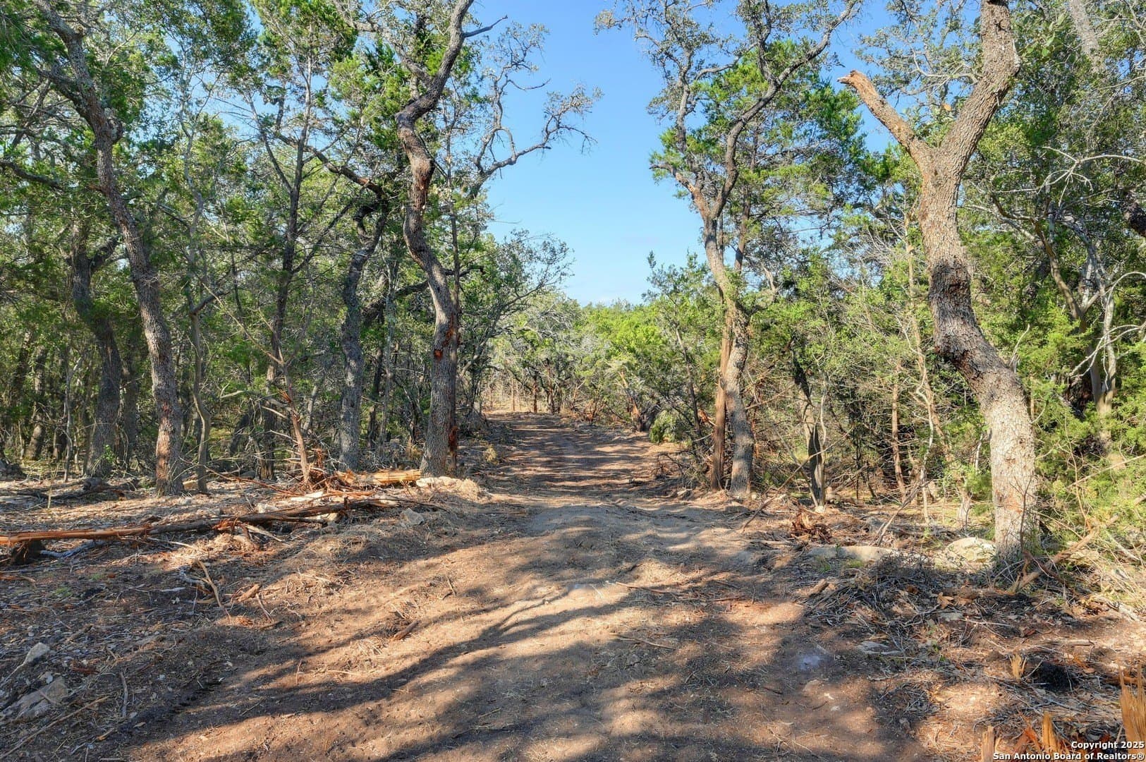 11.99 acres in Blanco County - photo 5