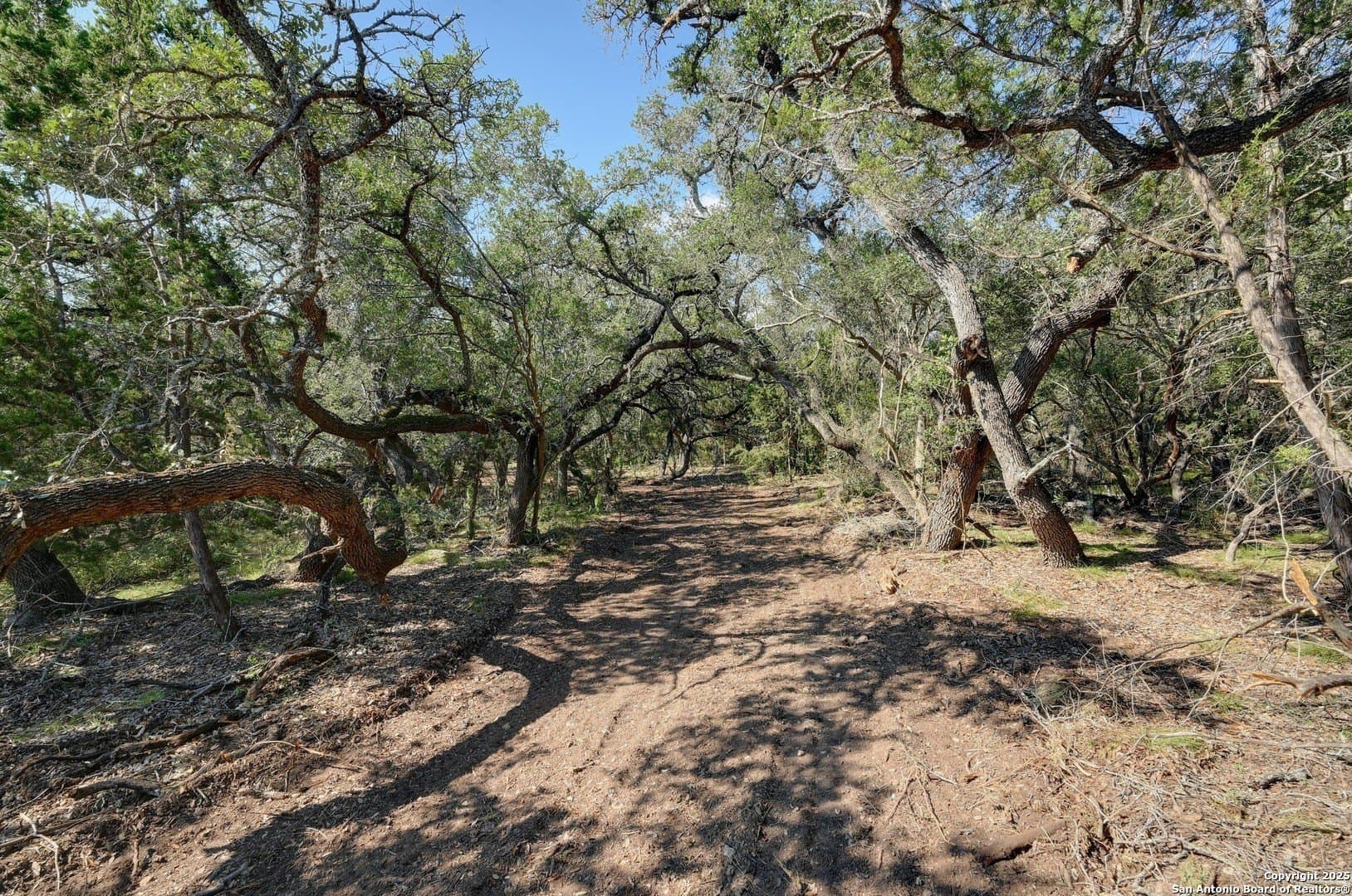 11.99 acres in Blanco County - photo 10