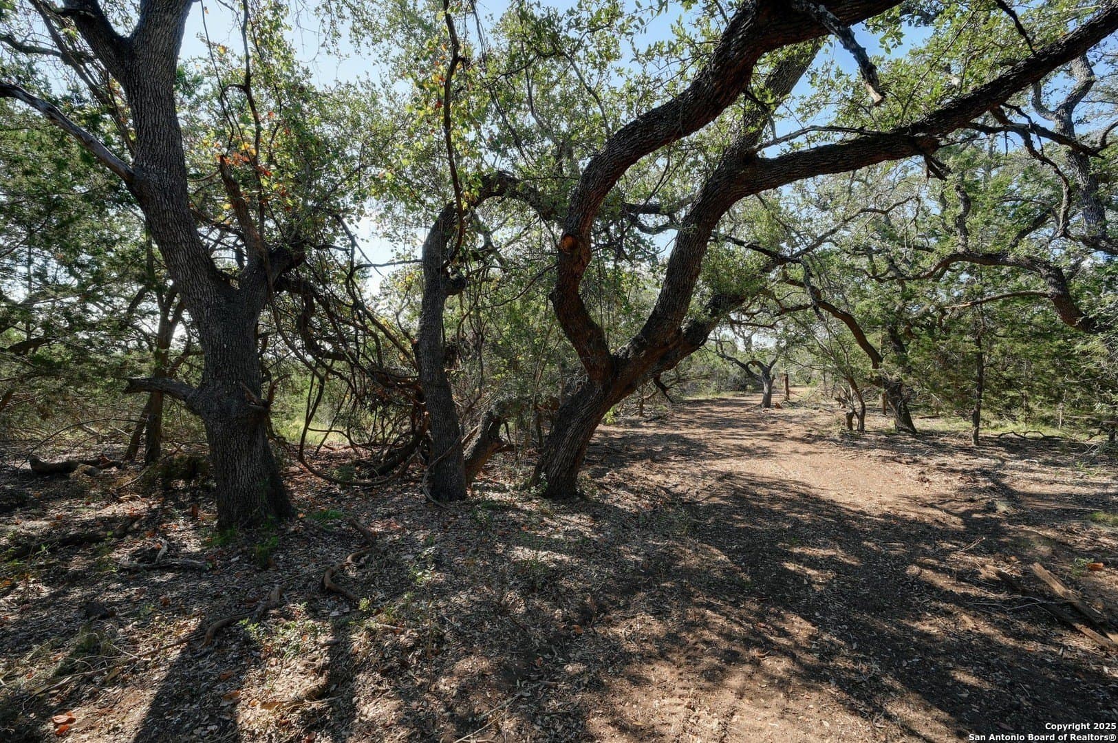 11.99 acres in Blanco County - photo 11