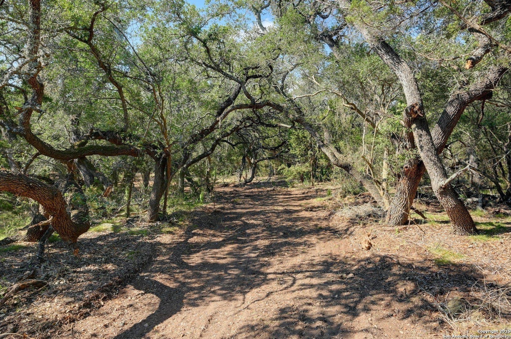 11.99 acres in Blanco County - photo 9