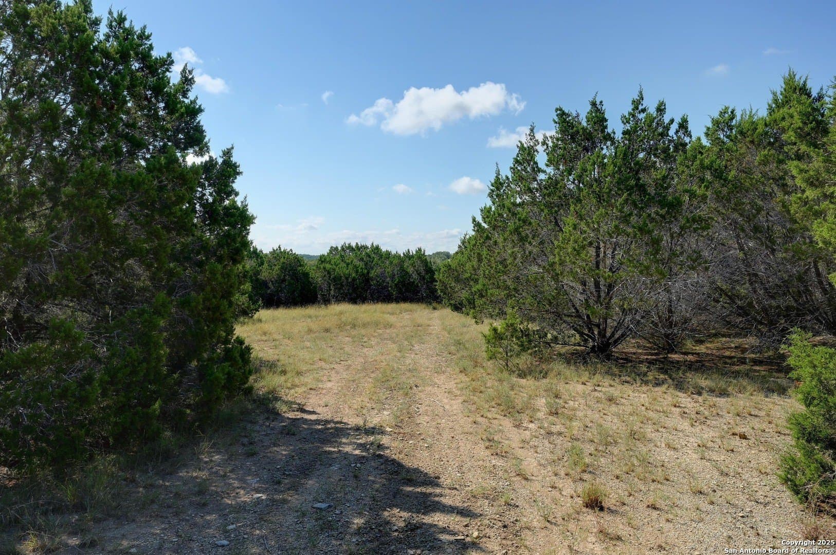11.99 acres in Blanco County - photo 12