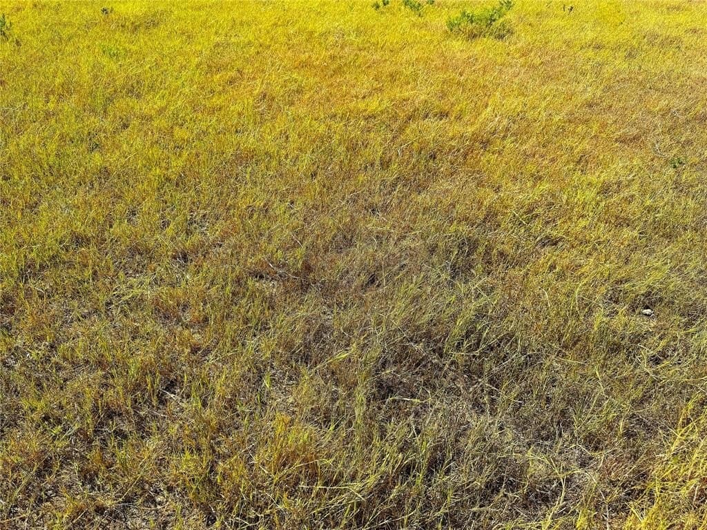 5 acres in Palo Pinto County - photo 14