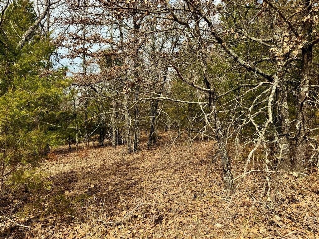 88 acres in Cooke County - photo 2