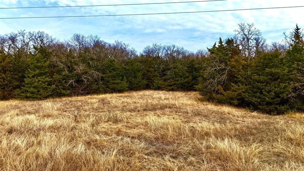 88 acres in Cooke County - photo 33