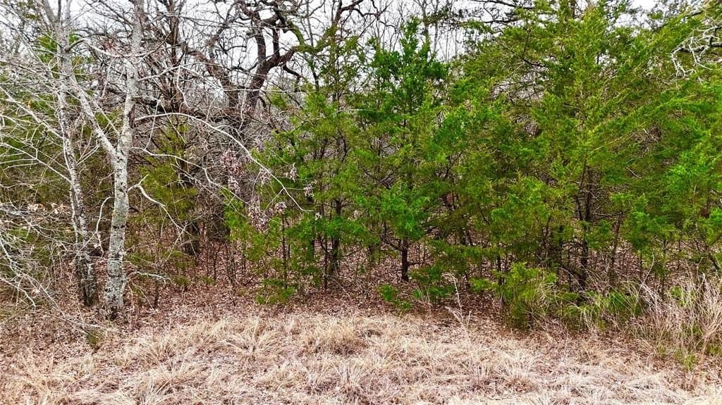 88 acres in Cooke County - photo 28