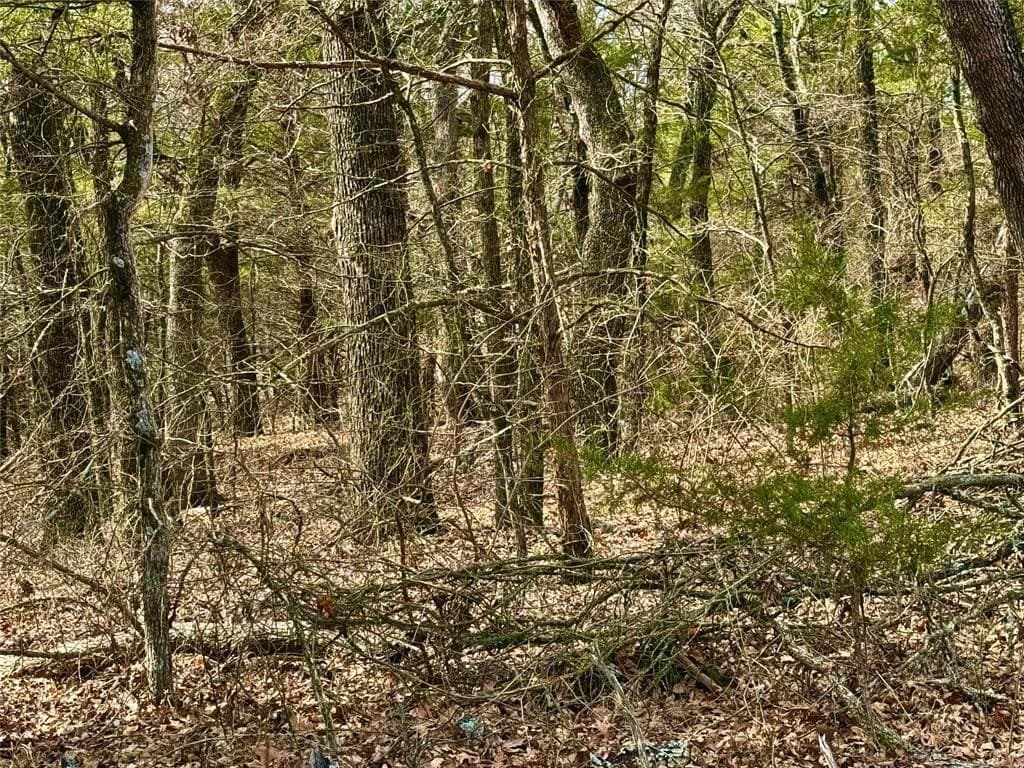 88 acres in Cooke County - photo 6