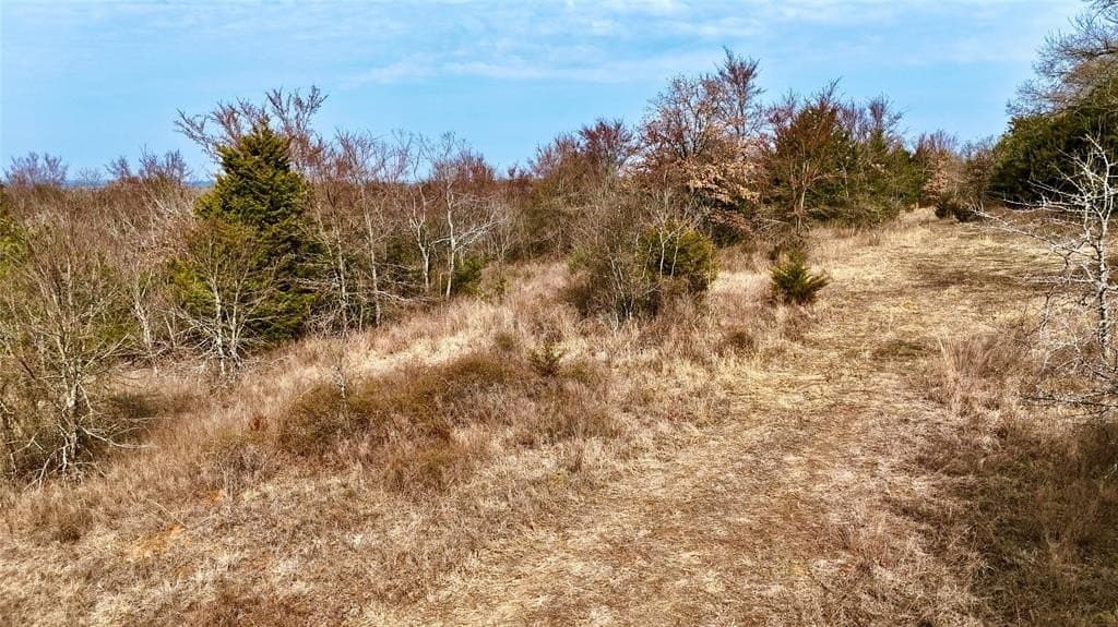 88 acres in Cooke County - photo 19