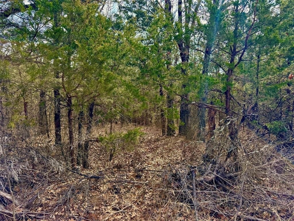 88 acres in Cooke County - photo 3