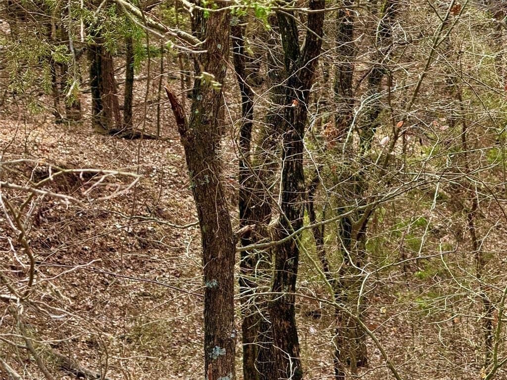 88 acres in Cooke County - photo 4