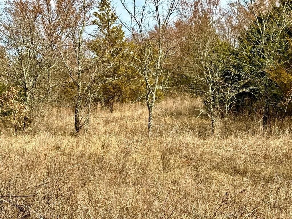 88 acres in Cooke County - photo 7