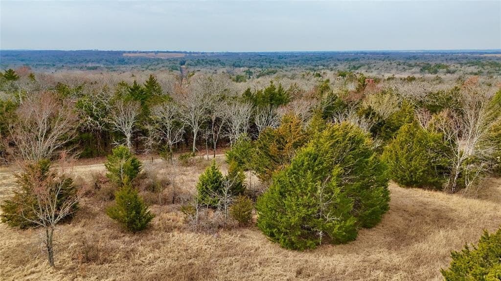 88 acres in Cooke County - photo 20