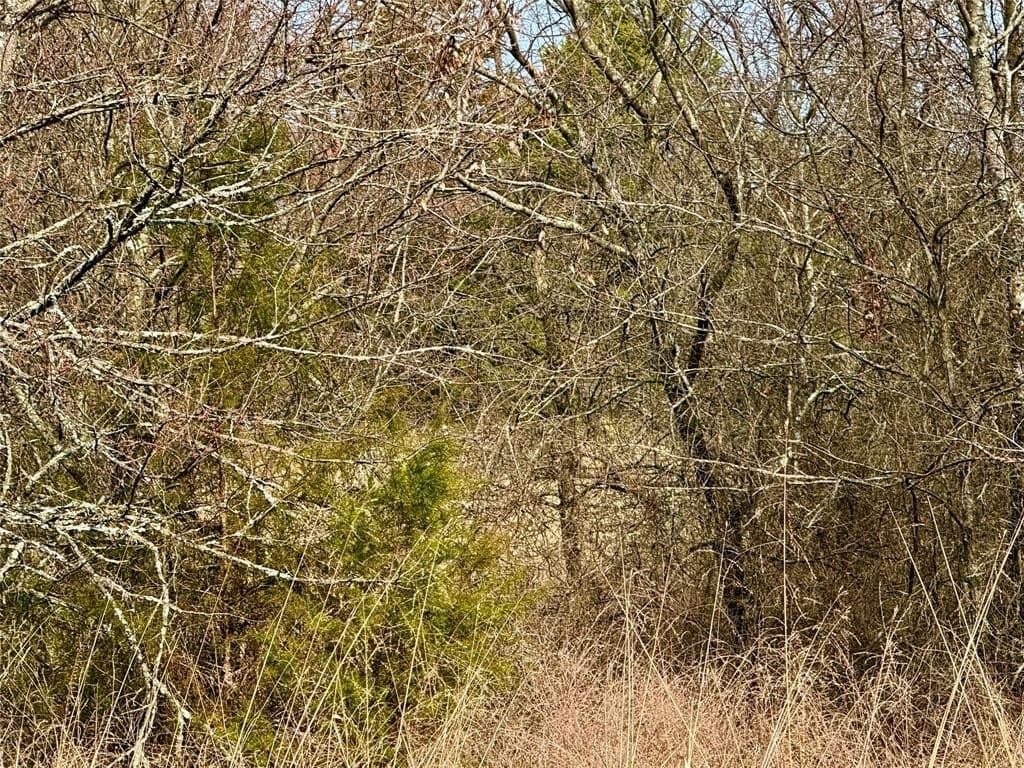 88 acres in Cooke County - photo 5