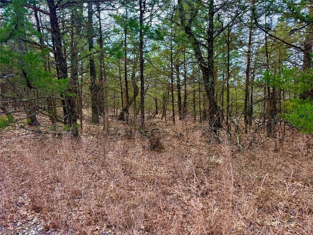 88 acres in Cooke County - photo 10