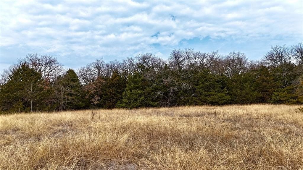 88 acres in Cooke County - photo 34
