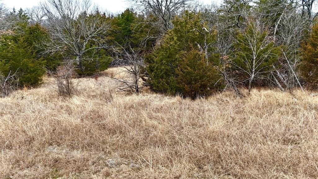 88 acres in Cooke County - photo 39