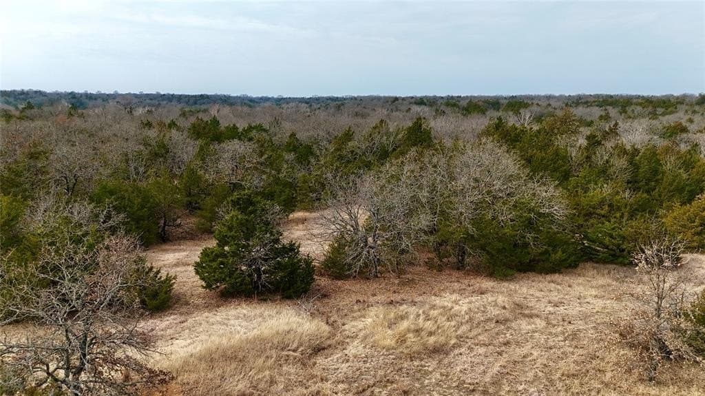 88 acres in Cooke County - photo 14