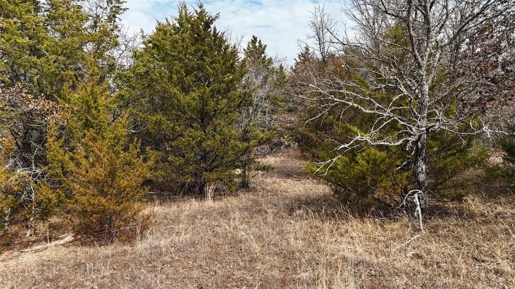 88 acres in Cooke County - photo 15