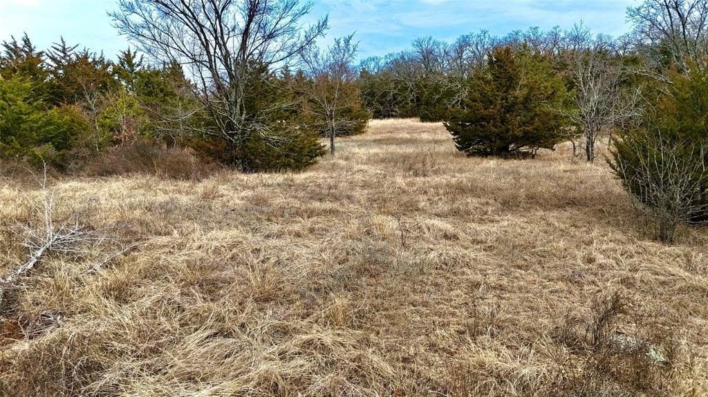 88 acres in Cooke County - photo 26