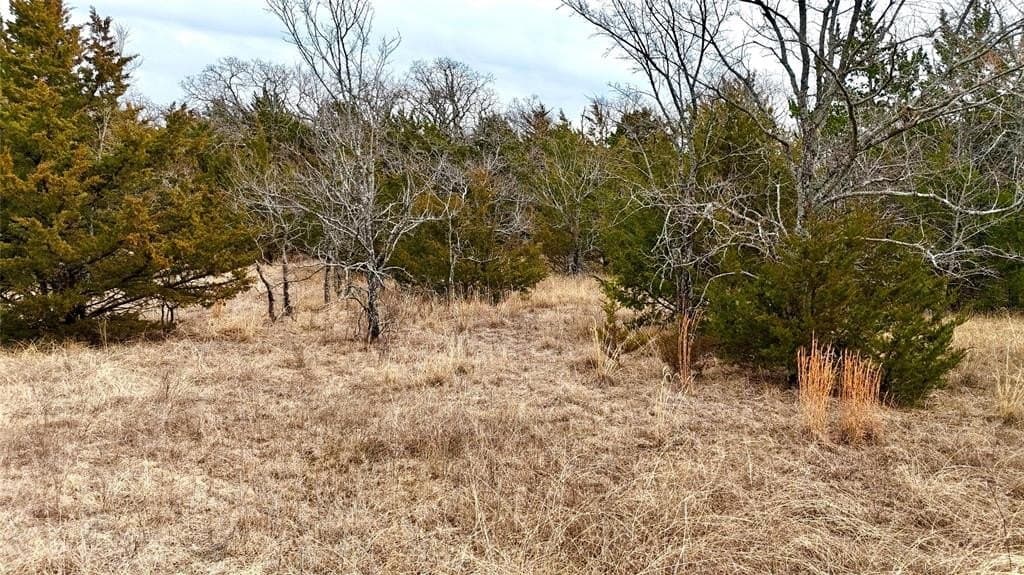 88 acres in Cooke County - photo 25