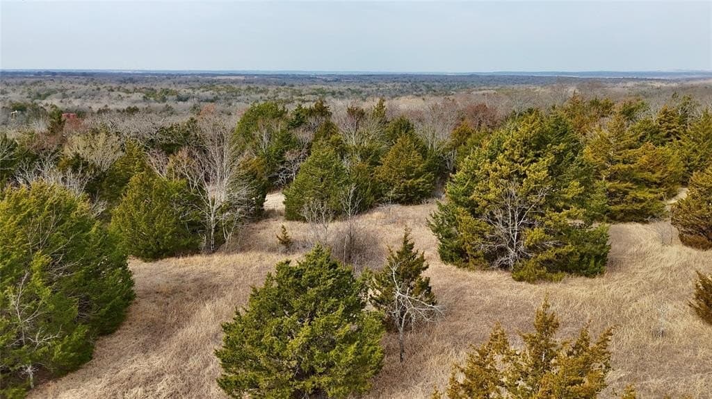 88 acres in Cooke County - photo 21