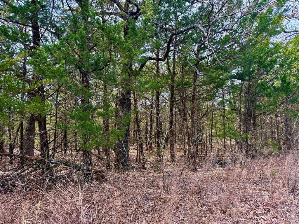 88 acres in Cooke County - photo 11