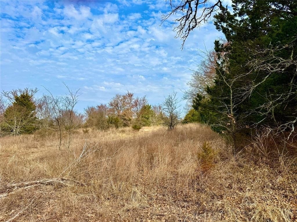 88 acres in Cooke County - photo 9