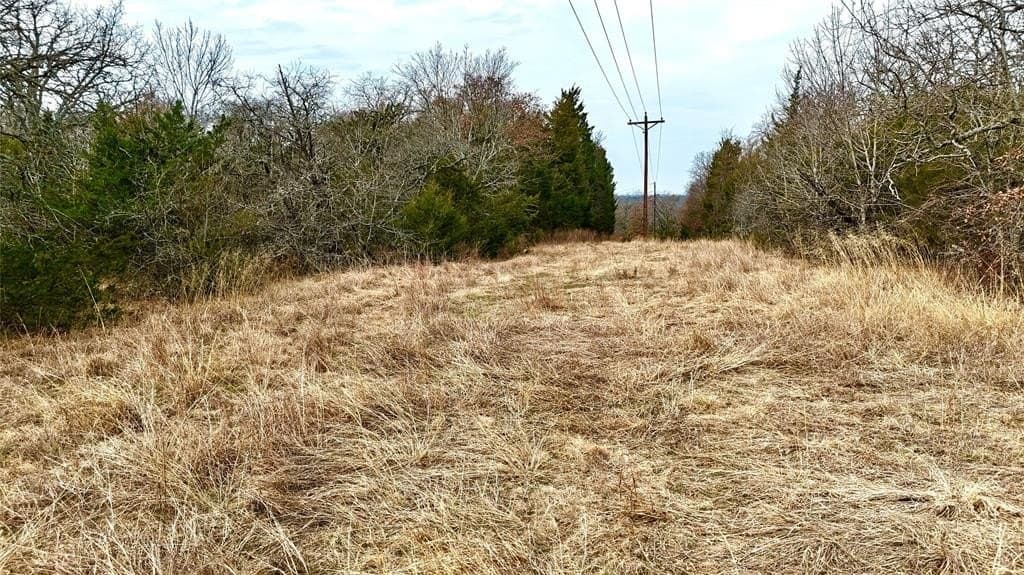 88 acres in Cooke County - photo 27
