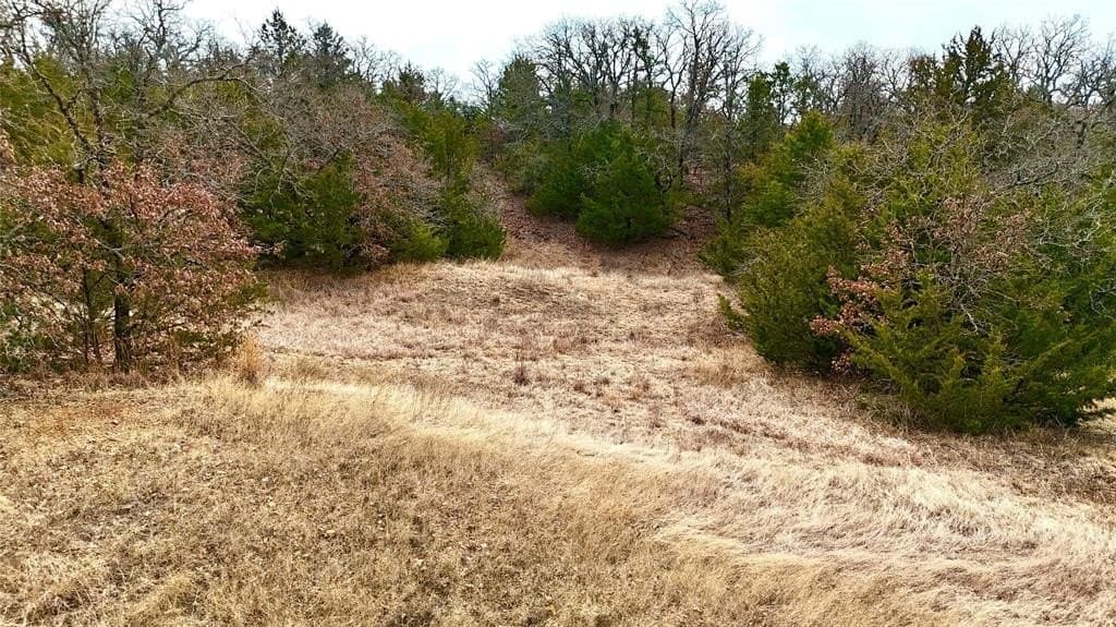 88 acres in Cooke County - photo 12