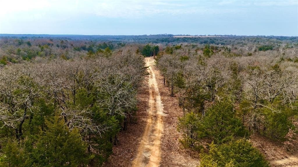 88 acres in Cooke County - photo 16