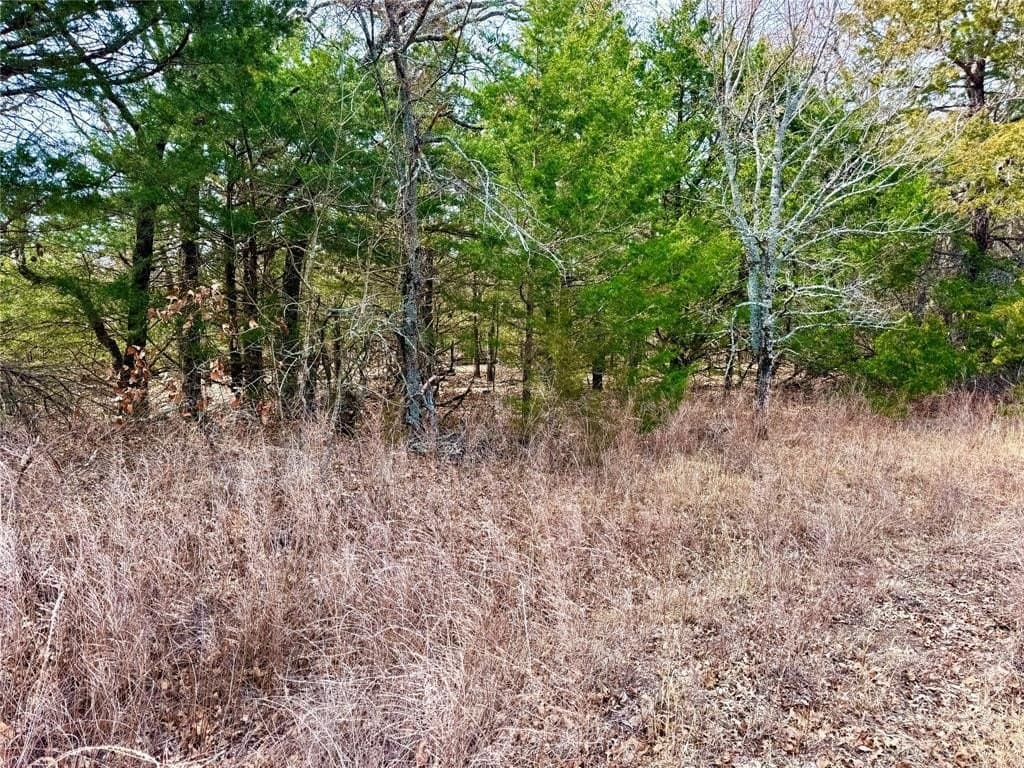 88 acres in Cooke County - photo 8