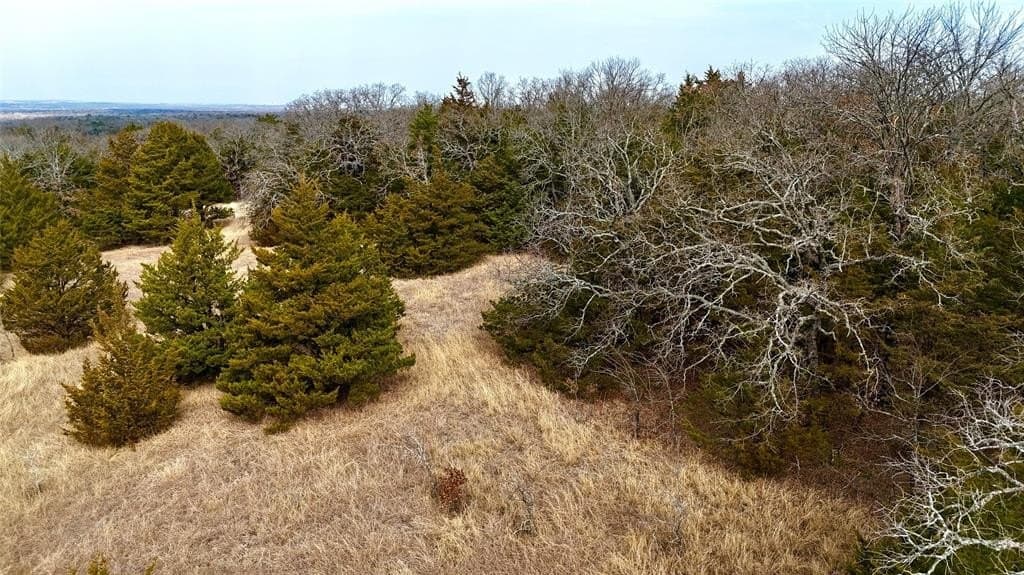 88 acres in Cooke County - photo 22