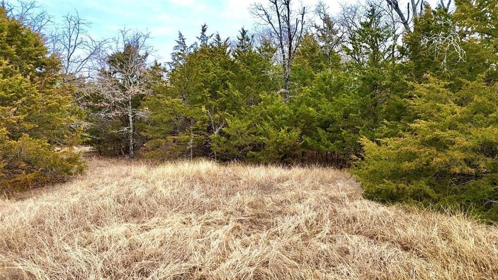 88 acres in Cooke County - photo 31