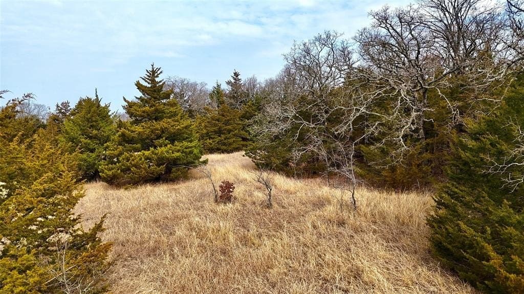 88 acres in Cooke County - photo 23