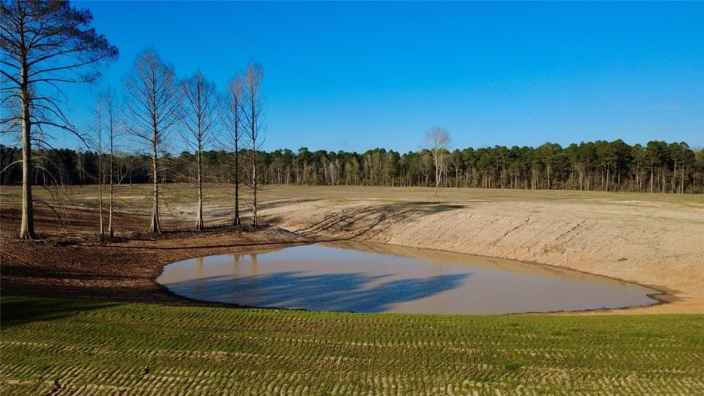 62.97 acres in HOUSTON County - photo 5