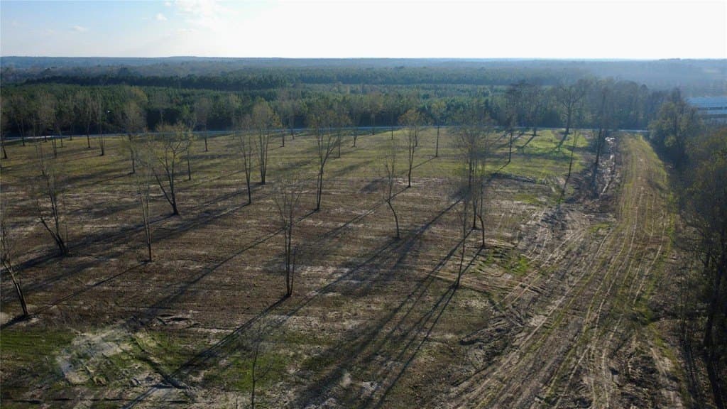62.97 acres in HOUSTON County - photo 9