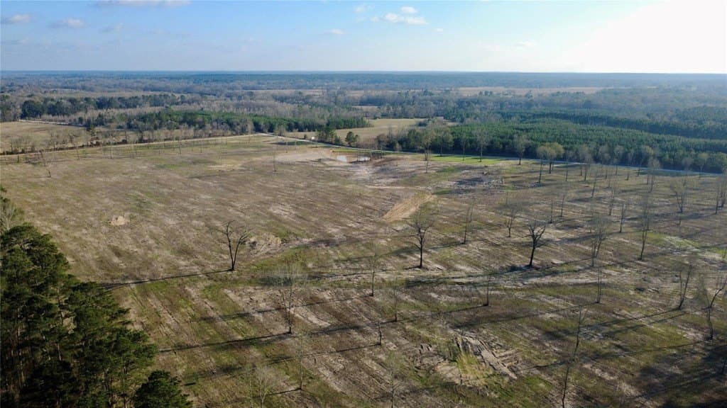 62.97 acres in HOUSTON County - photo 6