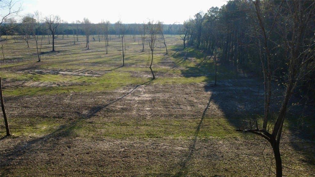 62.97 acres in HOUSTON County - photo 8