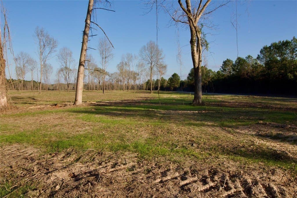 62.97 acres in HOUSTON County - photo 20