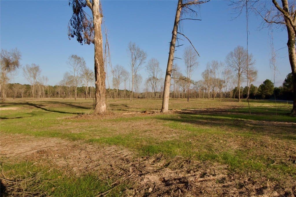 62.97 acres in HOUSTON County - photo 19