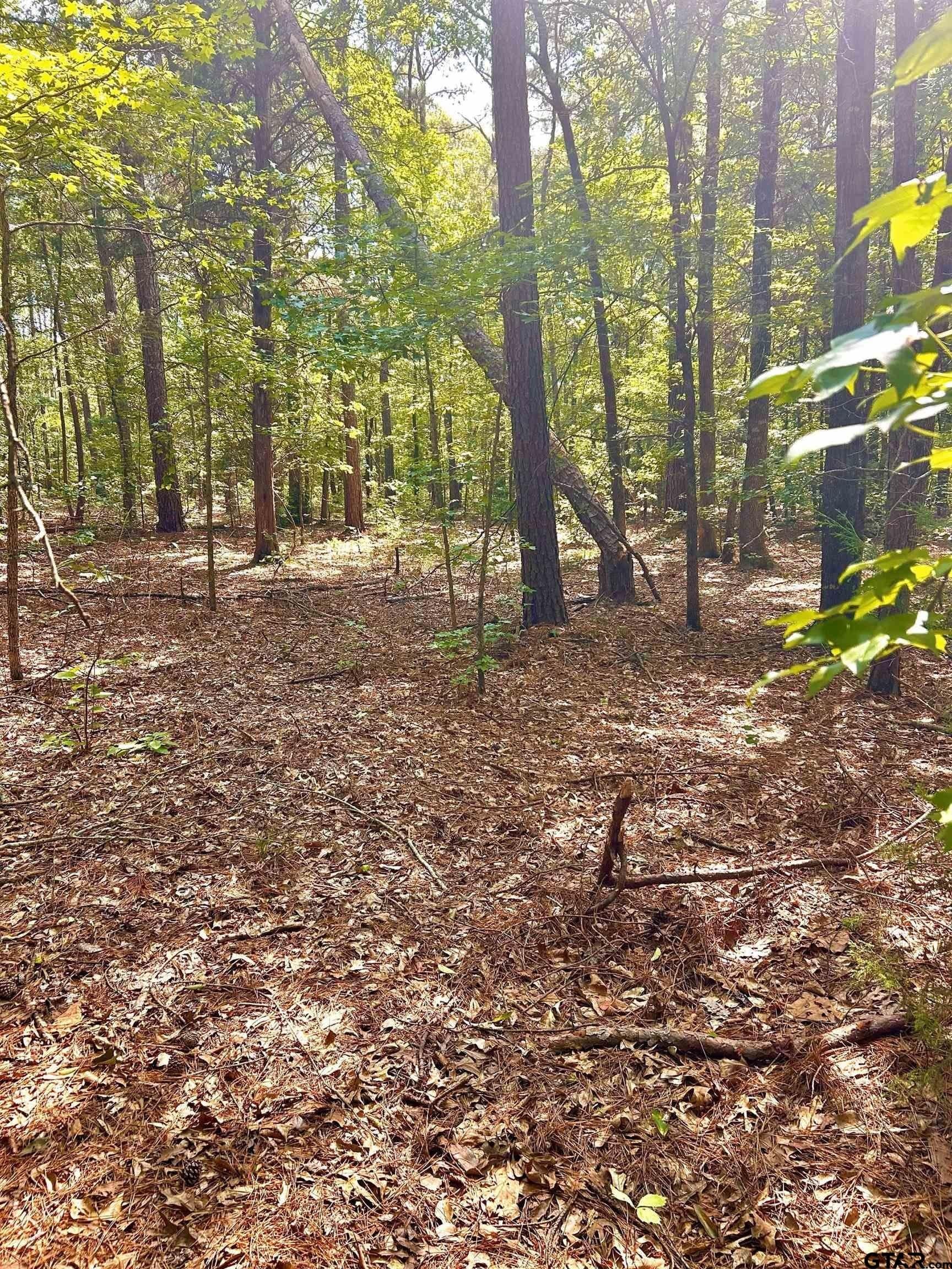 12.4 acres in Harrison County - photo 2
